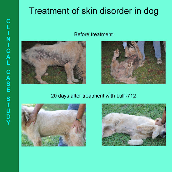 Lulli-712 Veterinary First Aid Ointment for Skin and Wound Care