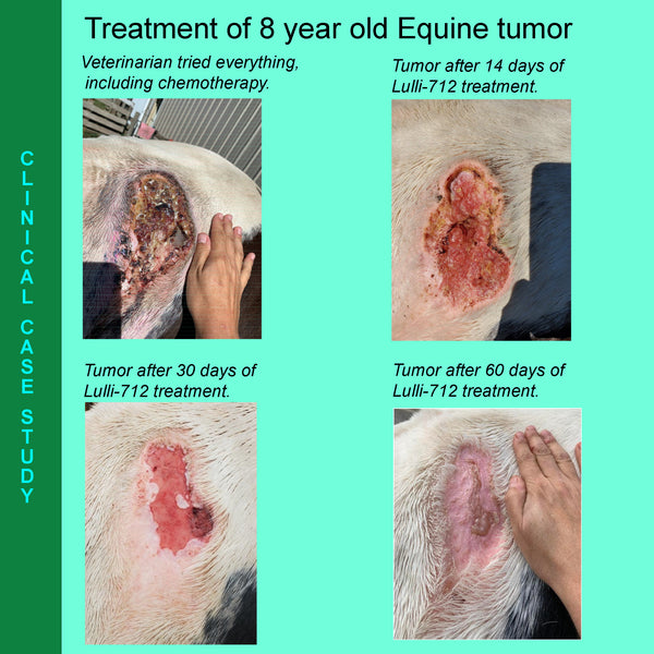 Lulli-712 Veterinary First Aid Ointment for Skin and Wound Care