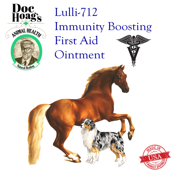 Lulli-712 Veterinary First Aid Ointment for Skin and Wound Care