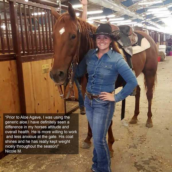 Aloe-Agave supplement for horses and other large animals - OriginalUdderBalm.com