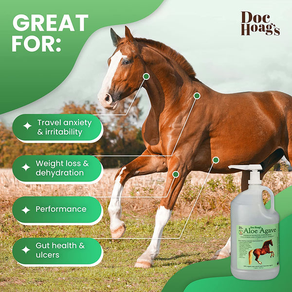 Aloe-Agave supplement for horses and other large animals by Doc Hoag's - OriginalUdderBalm.com