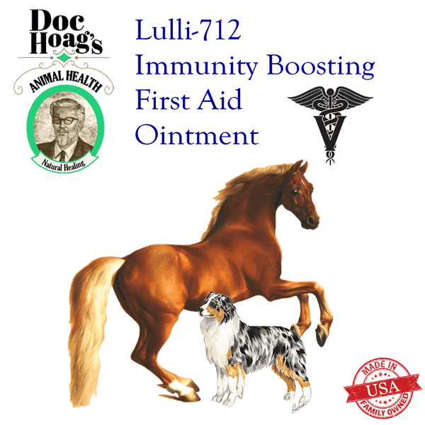 Lulli-712 Veterinary First Aid Ointment for Skin and Wound Care