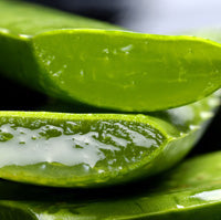 Doc Hoag's All Natural Menthol Pain Relief Cream - OriginalUdderBalm.com