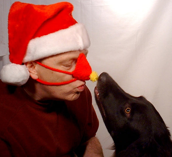 George the dog checking out Grandmas handmade nose warmer. George approves.