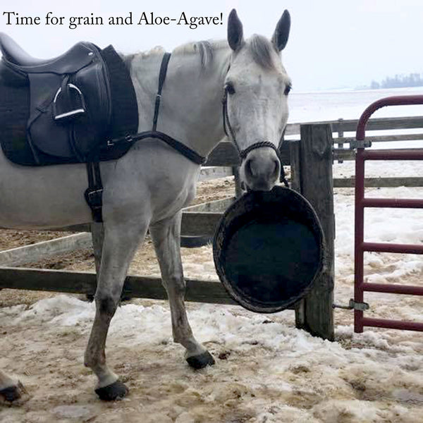 Aloe-Agave supplement for horses and other large animals - OriginalUdderBalm.com